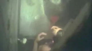Sušikti ta ta